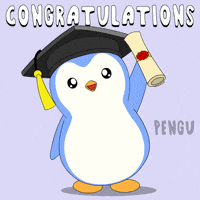 Graduating Class Of GIF by Pudgy Penguins