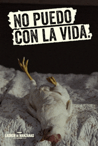 domingo vueltaaltrabajo GIF by Ladrón de Manzanas