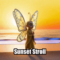 Beach Evening GIF by BuddhaFlyJourney