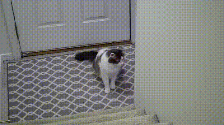 someone flirt GIF