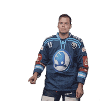 Hockey Swipe Up Sticker by HC Škoda Plzeň