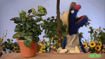 spring plant GIF by Sesame Street