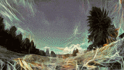 LifeSigner eagle american eagle GIF