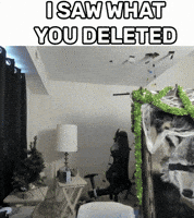 Delete I See You GIF