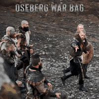 TheBeardStruggle brand beard viking tbs GIF