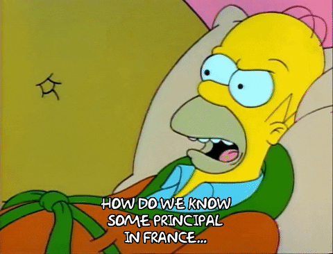 Season 1 GIF by The Simpsons