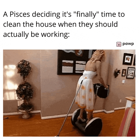 mypawp giphyupload GIF