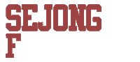 Sjng Sticker by Sejong Taekwondo