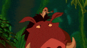 disneymusic disney lion king the lion king hakuna matata GIF