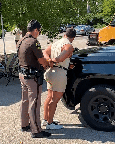 Police Law GIF