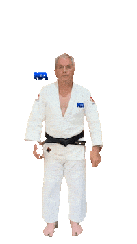 Martial Arts Judo Sticker by NA Effective Fighting