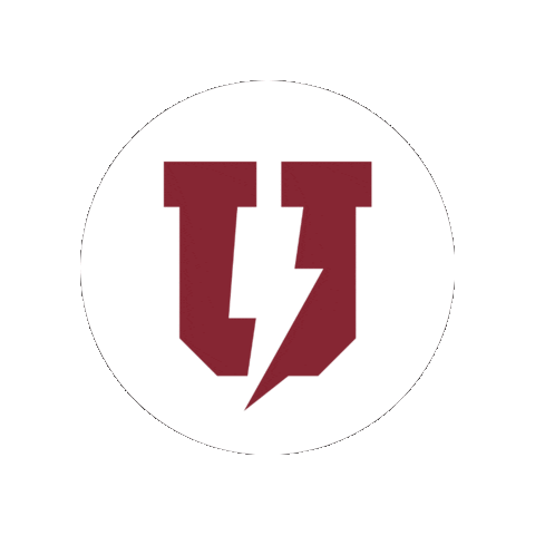 Garnet Chargers Sticker by Union College