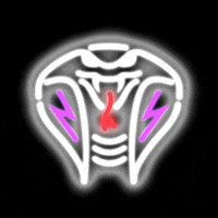Snake Eyes Logo GIF by Cobra