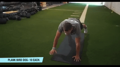 giphygifmaker GIF