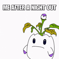 Shocked Night Out GIF by Magic Eden