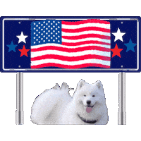 States Usa Sticker