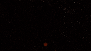 Grabbing Video Games GIF by El Presidente