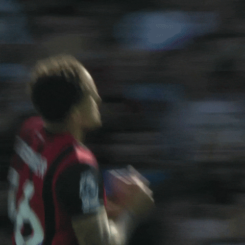 Celebrating Premier League GIF by AFC Bournemouth