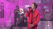 Snl GIF by Saturday Night Live