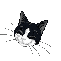 purinaoesterreich happy music cat felix Sticker