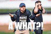 pantherswroclaw panthers wroclaw pantherswroclaw GIF
