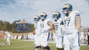 Football Unity GIF by Delaware Blue Hens