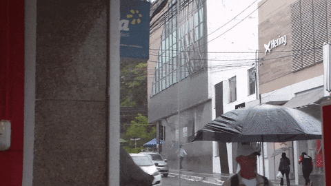 AnnieBonny giphyupload GIF