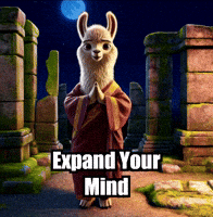 Wisdom Perception GIF by dalaillamazen