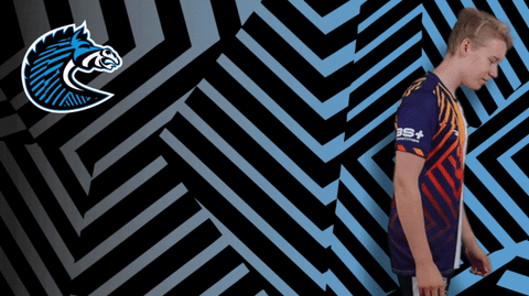 Sport GIF by BS+COMPETITION