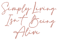 Travel Tryon Sticker by LivingLesh