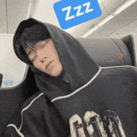 Ateez Cat GIF