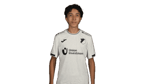 Tsg Hoffenheim Applause Sticker by Bundesliga