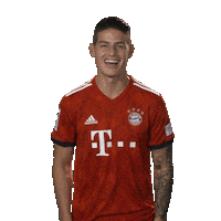happy germany Sticker by FC Bayern Munich