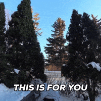 Winter This Is For You GIF