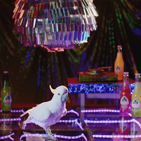 Happy Oh Yeah GIF by Jarritos