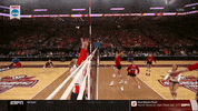 ncaasports ncaa volleyball illinois ncaavb GIF
