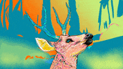 Animation Wow GIF by Gifes Con Ensalada
