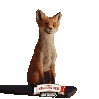 dsdmt-film freude kinofilm zustimmen schule der magischen tiere Sticker