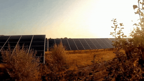 Storishh giphyupload solar solar energy solar power GIF