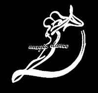 magicdancekarlsruhe magicdance GIF