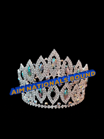 Aim Pageant GIF by America's International Miss