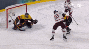 Boston Bruins Lightning GIF