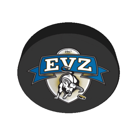 ice hockey Sticker by EVZ