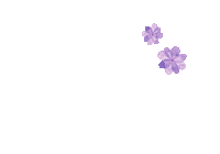 Bomdia Sticker by ARCloset