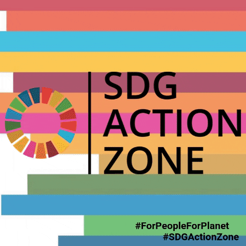 SDGActionCampaign giphygifmaker sdgactionzone GIF