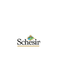 Schesir cat dog pet cane Sticker