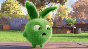 Confused What Now GIF by Sunny Bunnies