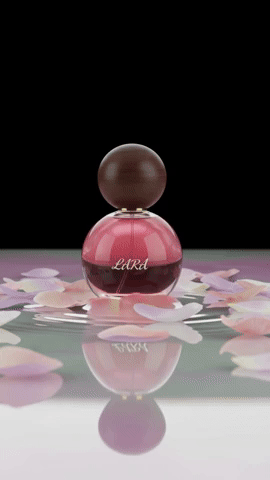 meiravshavit giphyupload GIF
