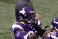 Minnesota Vikings GIF by NFL