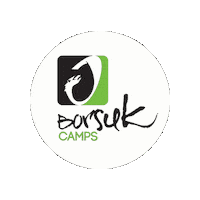 BorsukCamps kids wave skate surf Sticker